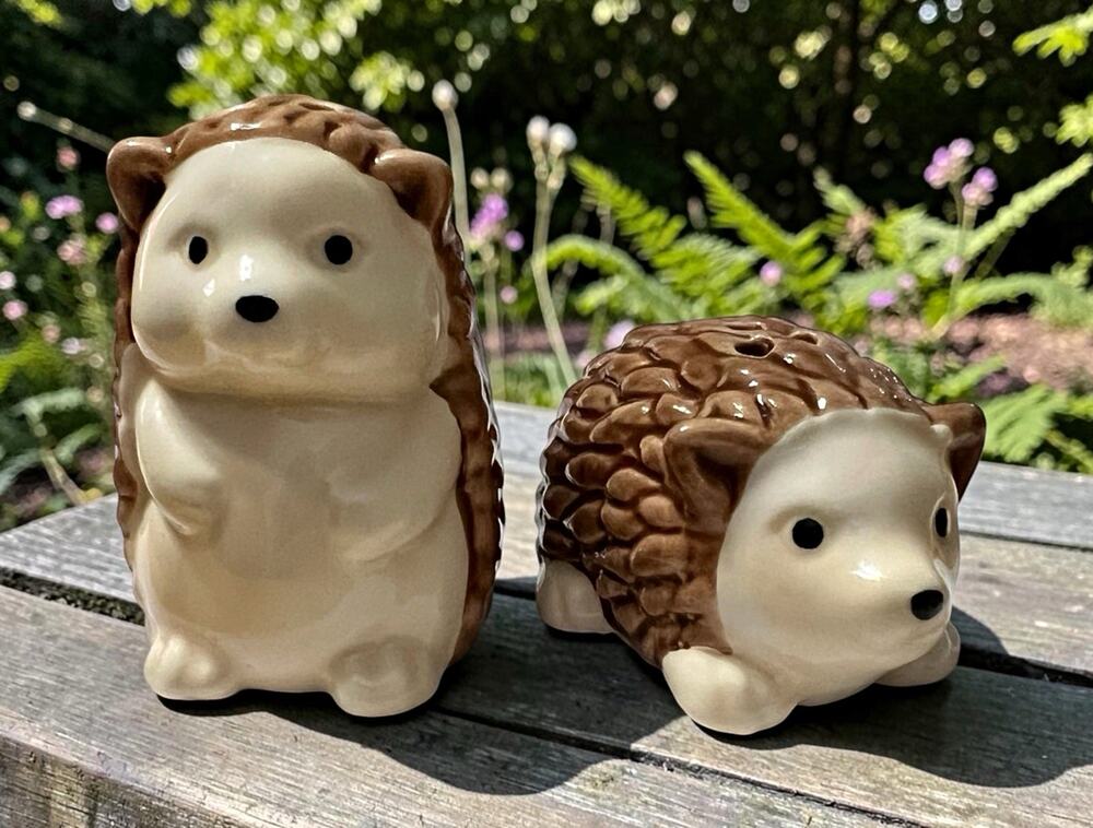 Ceramic Hedgehog Salt and Pepper Shakers Set 2-Piece Brown Beige Small Hand Wash